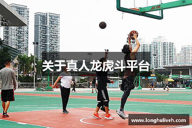 关于真人龙虎斗平台